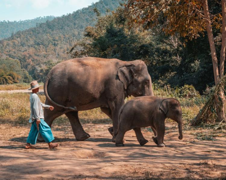 Il meglio della Thailandia e il paradiso di Phuket