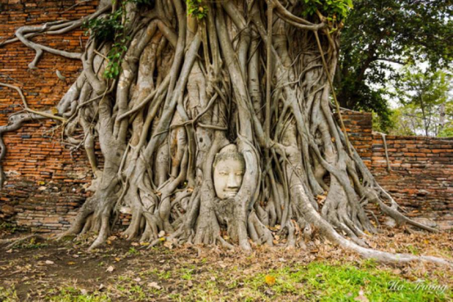 Ayutthaya: Viaggio nell'Antica Capitale del Siam